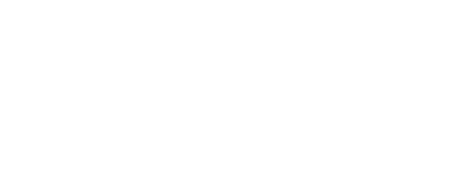 Flightlogo2